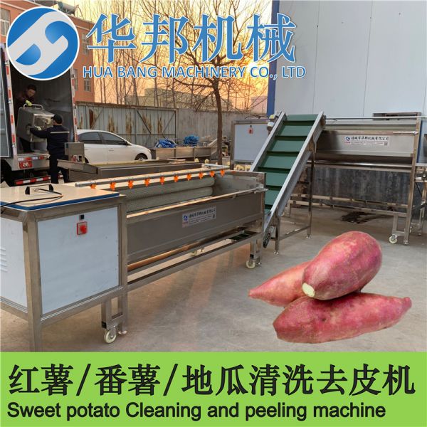 红薯清洗机 【华邦】红薯清洗设备