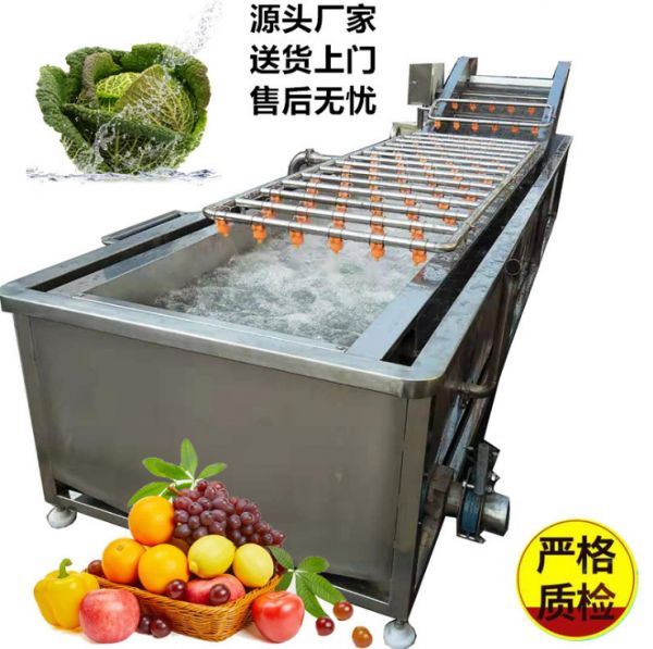 多功能蔬菜清洗机 水果蔬菜清洗机  净菜加工设备